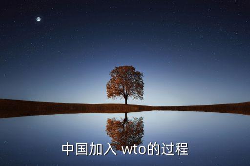 中國加入 wto的過程