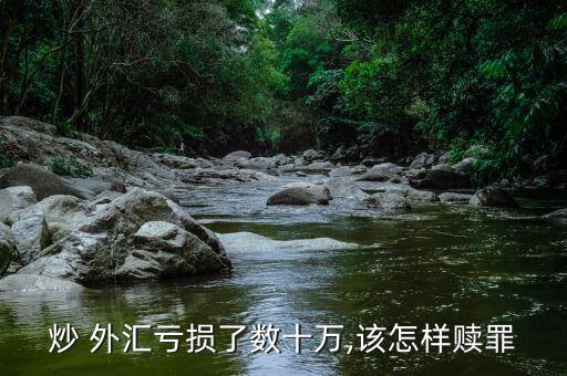 炒 外匯虧損了數(shù)十萬(wàn),該怎樣贖罪