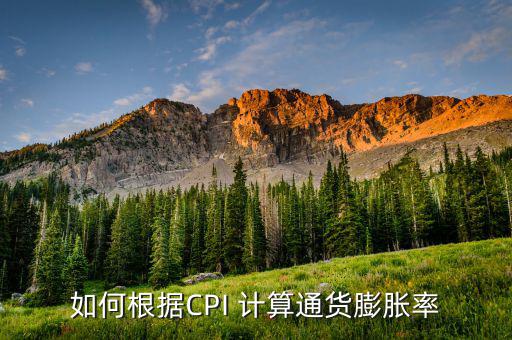 如何根據(jù)CPI 計(jì)算通貨膨脹率