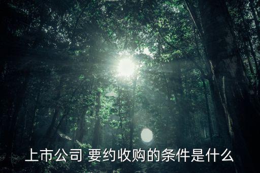 上市公司 要約收購(gòu)的條件是什么