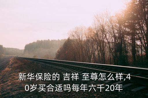  新華保險的 吉祥 至尊怎么樣,40歲買合適嗎每年六千20年