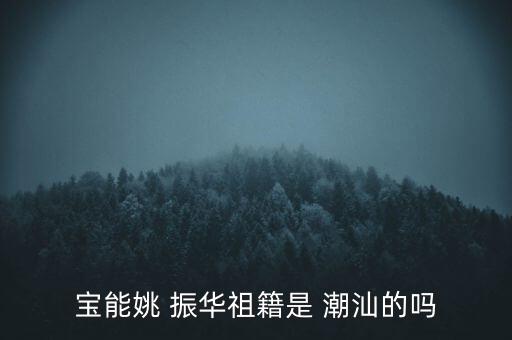 寶能姚 振華祖籍是 潮汕的嗎