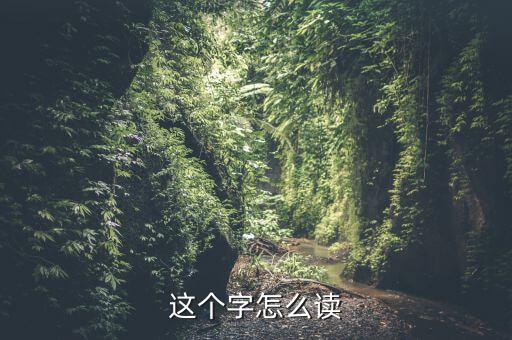 這個(gè)字怎么讀