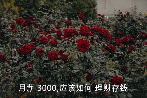 月薪 3000,應(yīng)該如何 理財(cái)存錢