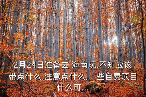 2月24日準備去 海南玩,不知應(yīng)該帶點什么,注意點什么,一些自費項目什么可...