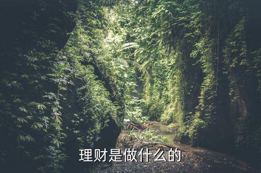 理財(cái)是做什么的