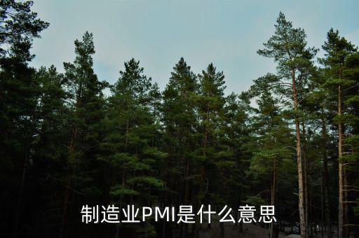 什么是pmi，制造業(yè)PMI是什么意思