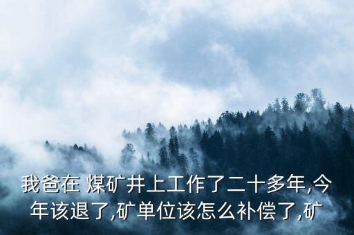 我爸在 煤礦井上工作了二十多年,今年該退了,礦單位該怎么補(bǔ)償了,礦