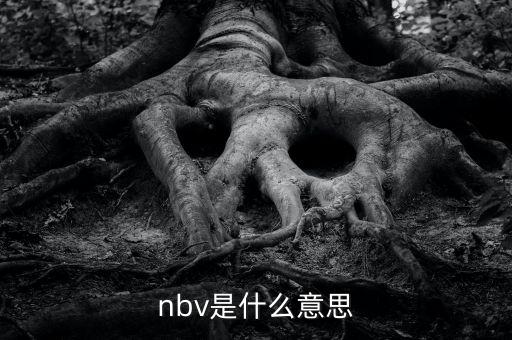 保險(xiǎn)nbv是什么意思，nbv是什么意思