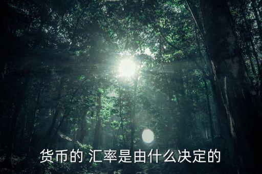 貨幣的 匯率是由什么決定的