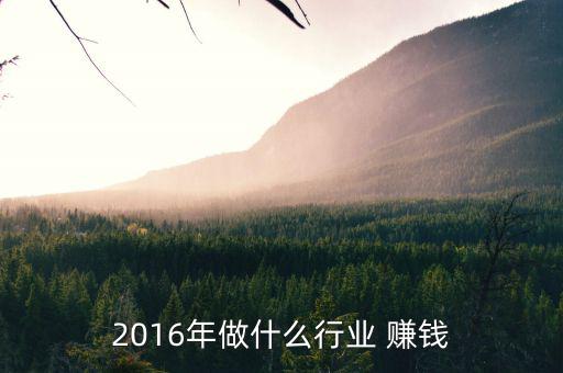 2016年做什么行業(yè) 賺錢