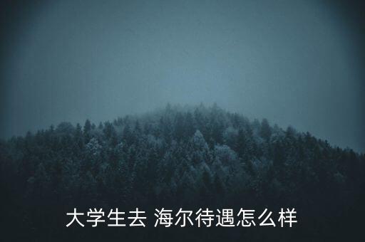 大學生去 海爾待遇怎么樣