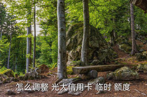 光大怎么調(diào)臨時(shí)額度,申請increase臨時(shí)額度有三種方式