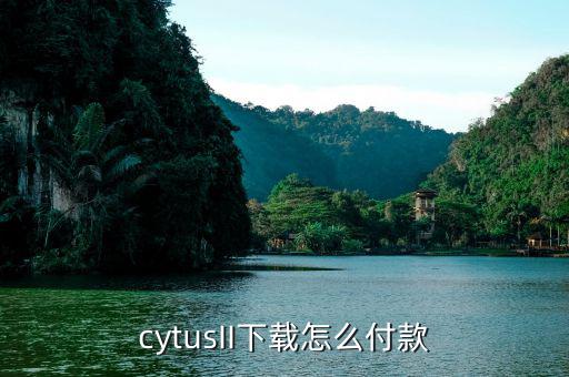 cytusII下載怎么付款