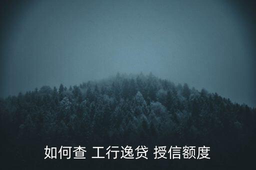 如何查 工行逸貸 授信額度