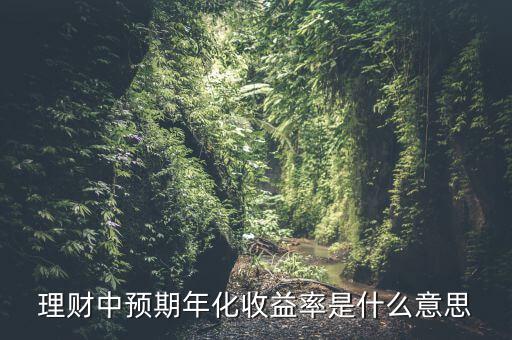 理財中預(yù)期年化收益率是什么意思