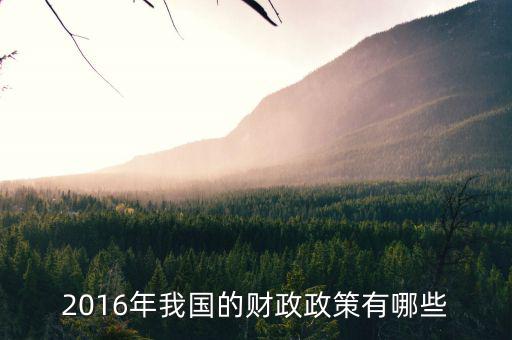 2016年我國的財政政策有哪些