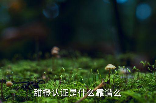 甜橙金融公司是什么，便捷的網(wǎng)貸理財企業(yè)是什么