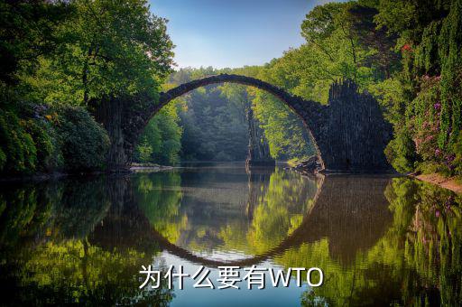 為什么要有WTO