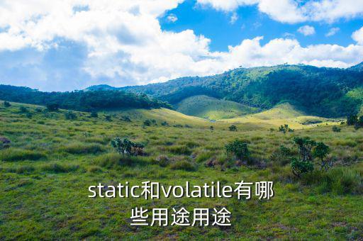 static和volatile有哪些用途用途