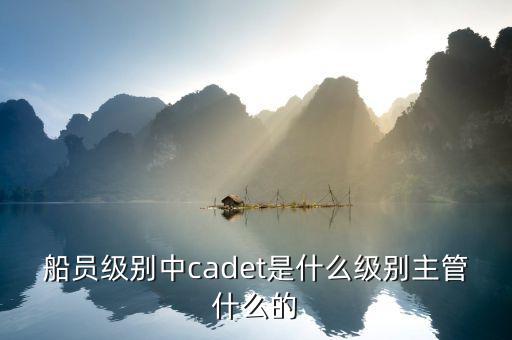 船員級別中cadet是什么級別主管什么的