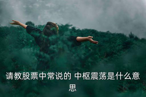 請教股票中常說的 中樞震蕩是什么意思