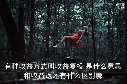 按月復(fù)投是什么意思，本息復(fù)投是什么意思