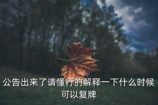 公告出來了請懂行的解釋一下什么時候可以復牌