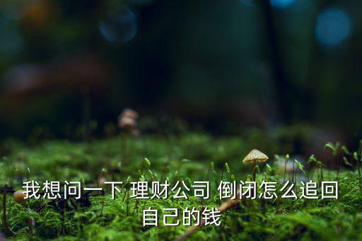 我想問一下 理財(cái)公司 倒閉怎么追回自己的錢