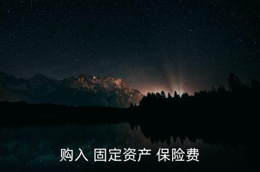 購入 固定資產(chǎn) 保險費(fèi)