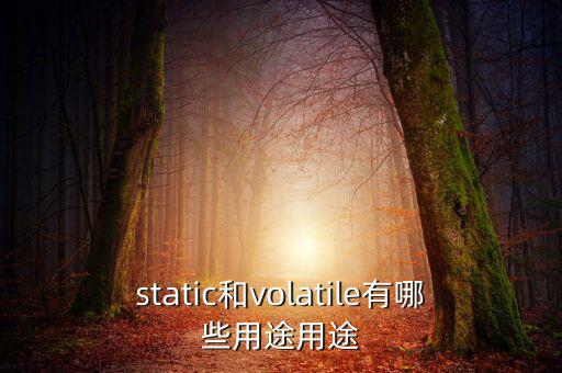 vtm有什么用，static和volatile有哪些用途用途