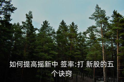 怎么申購新股中簽率高,新股-2/投資規(guī)則（四）