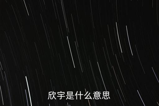 欣宇是什么意思