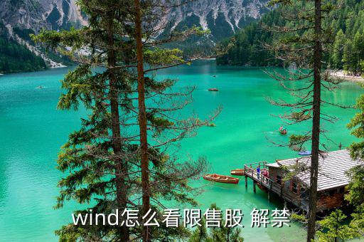 wind怎么看限售股 解禁