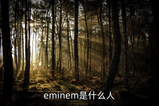 eminem是什么人