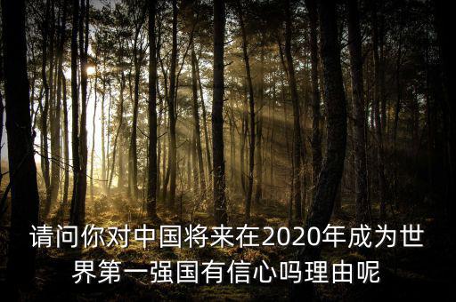 請(qǐng)問你對(duì)中國(guó)將來在2020年成為世界第一強(qiáng)國(guó)有信心嗎理由呢