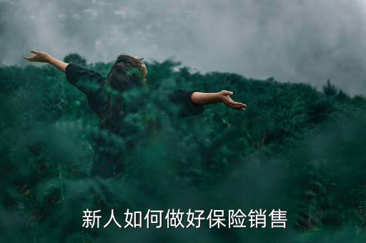 保險新人怎么賣保險,保險業(yè)務員的職業(yè)道路