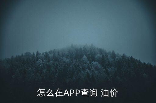 怎么在APP查詢 油價