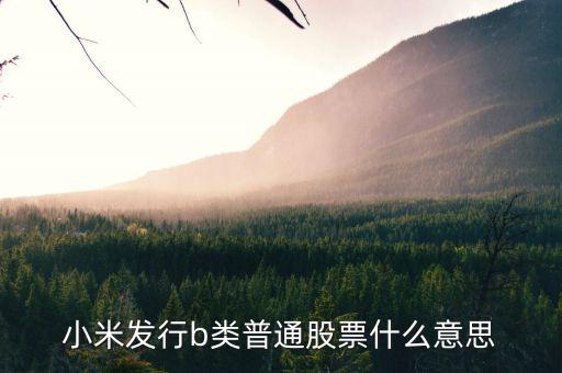 小米發(fā)行b類普通股票什么意思