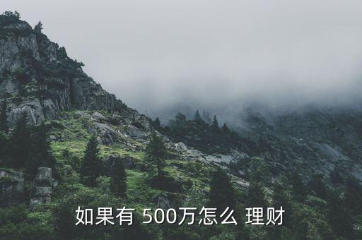 500萬元錢怎么投資理財(cái),理財(cái)新規(guī)劃