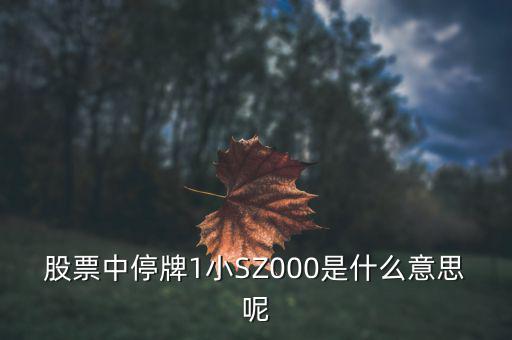 股票中停牌1小SZ000是什么意思呢