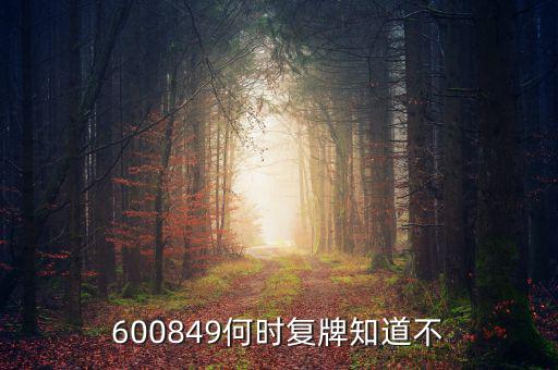 儀電b股什么時候復牌，600849何時復牌知道不