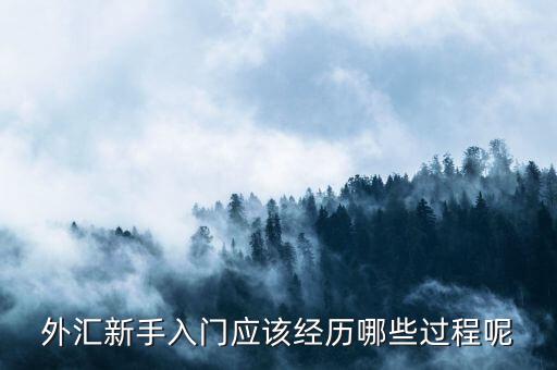 匯市怎么賣(mài)空,雙向交易:可以買(mǎi)入期貨合約作為交易的開(kāi)始