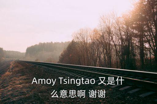 Amoy Tsingtao 又是什么意思啊 謝謝