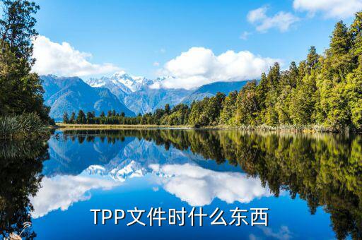 TPP文件時什么東西