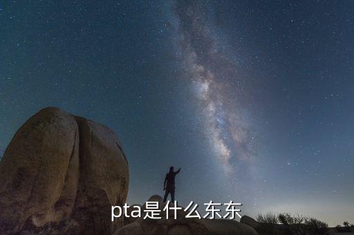 pta行業(yè)是什么，pta是什么東東