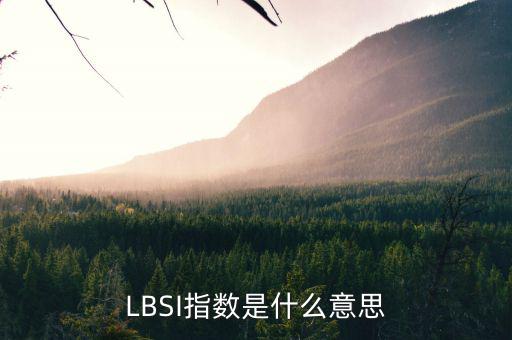 LBSI指數(shù)是什么意思