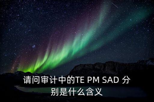 請(qǐng)問審計(jì)中的TE PM SAD 分別是什么含義