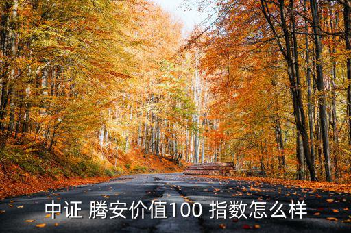 中證 騰安價(jià)值100 指數(shù)怎么樣