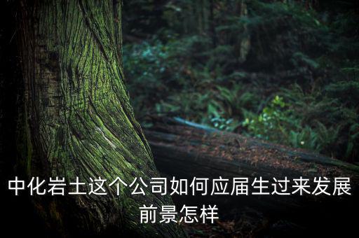 中化巖土這個公司如何應屆生過來發(fā)展前景怎樣